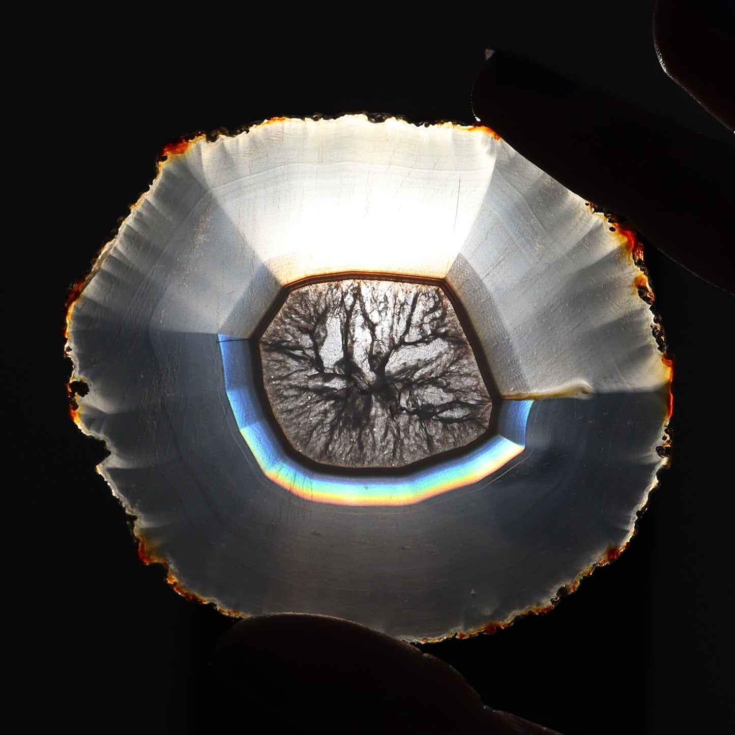 Iris Agate Slices Set of 6 - Expert Wholesale and Supplier of Wholesale Crystals & Bulk Gemstones, ["Agate","Iris Agate","Slices and Slabs"]