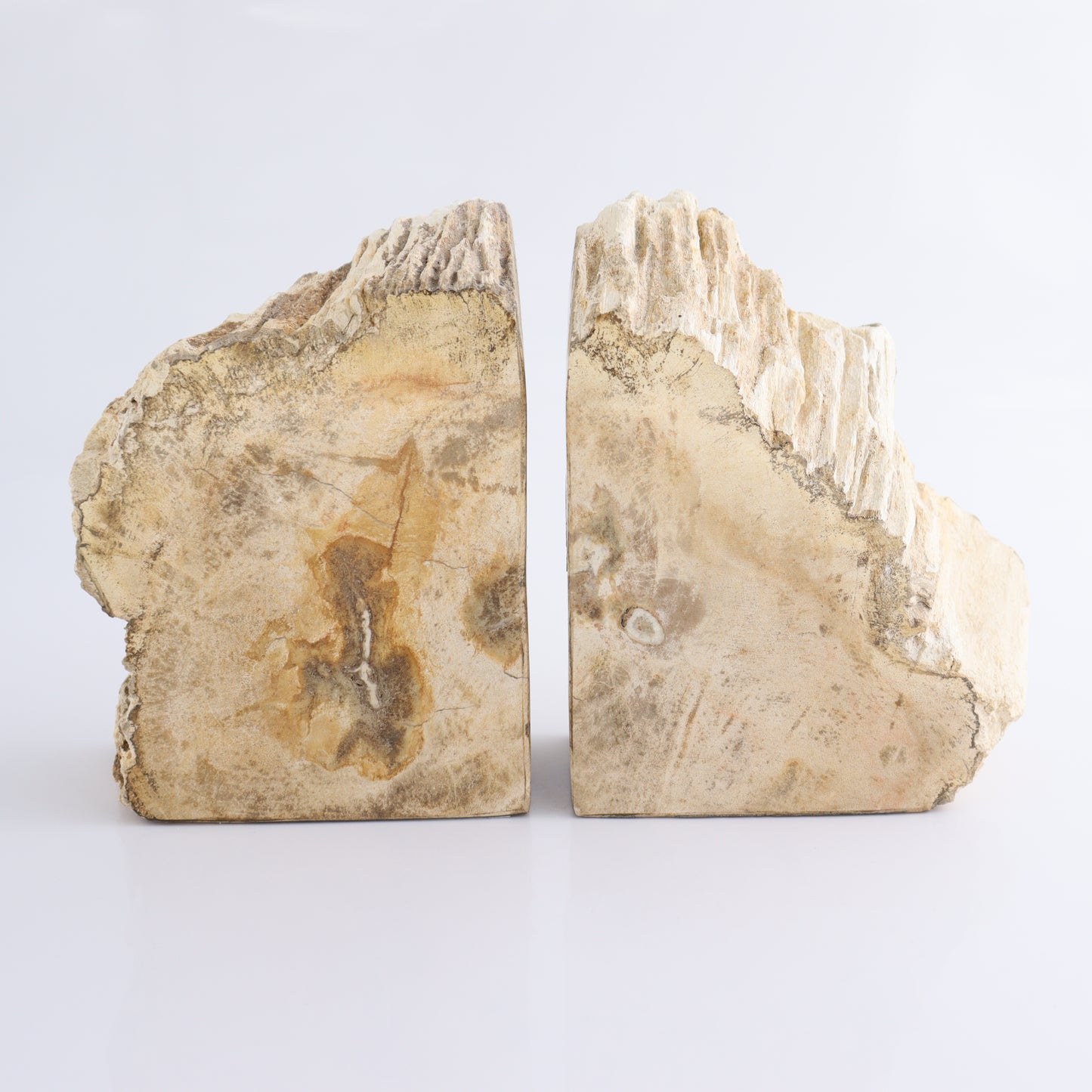 Bookends Petrified Wood - Expert Wholesale and Supplier of Wholesale Crystals & Bulk Gemstones, ["Bookends","Indonesia","Petrified Wood"]