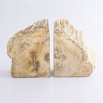 Bookends Petrified Wood - Expert Wholesale and Supplier of Wholesale Crystals & Bulk Gemstones, ["Bookends","Indonesia","Petrified Wood"]