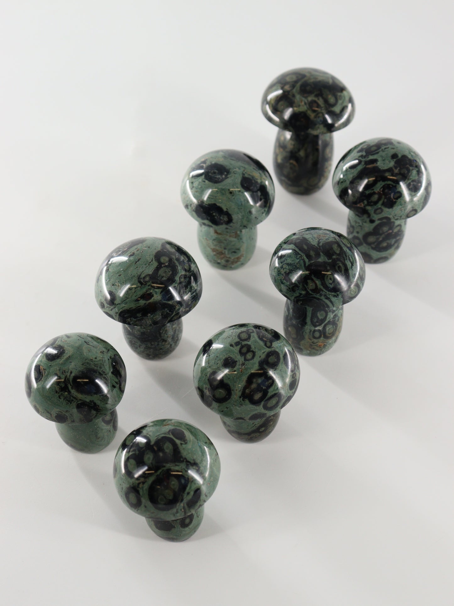 Kambaba Jasper Set of 8 - Expert Wholesale and Supplier of Wholesale Crystals & Bulk Gemstones, []