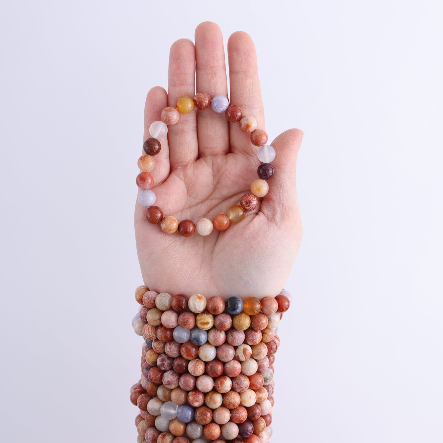 One Fossilized Coral Bracelet