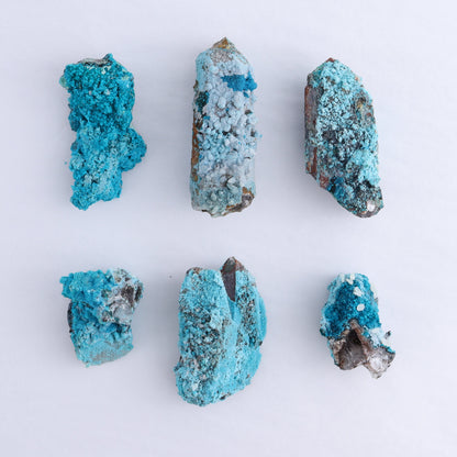 Chrysocolla on Quartz Roughs Set of 24 - Expert Wholesale and Supplier of Wholesale Crystals & Bulk Gemstones, ["Chrysocolla","Flats","Freeforms","Peru","Quartz","Rough"]
