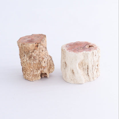 Petrified Wood Cut Bases Set of 10 - Expert Wholesale and Supplier of Wholesale Crystals & Bulk Gemstones, ["Cut Base","Petrified Wood"]