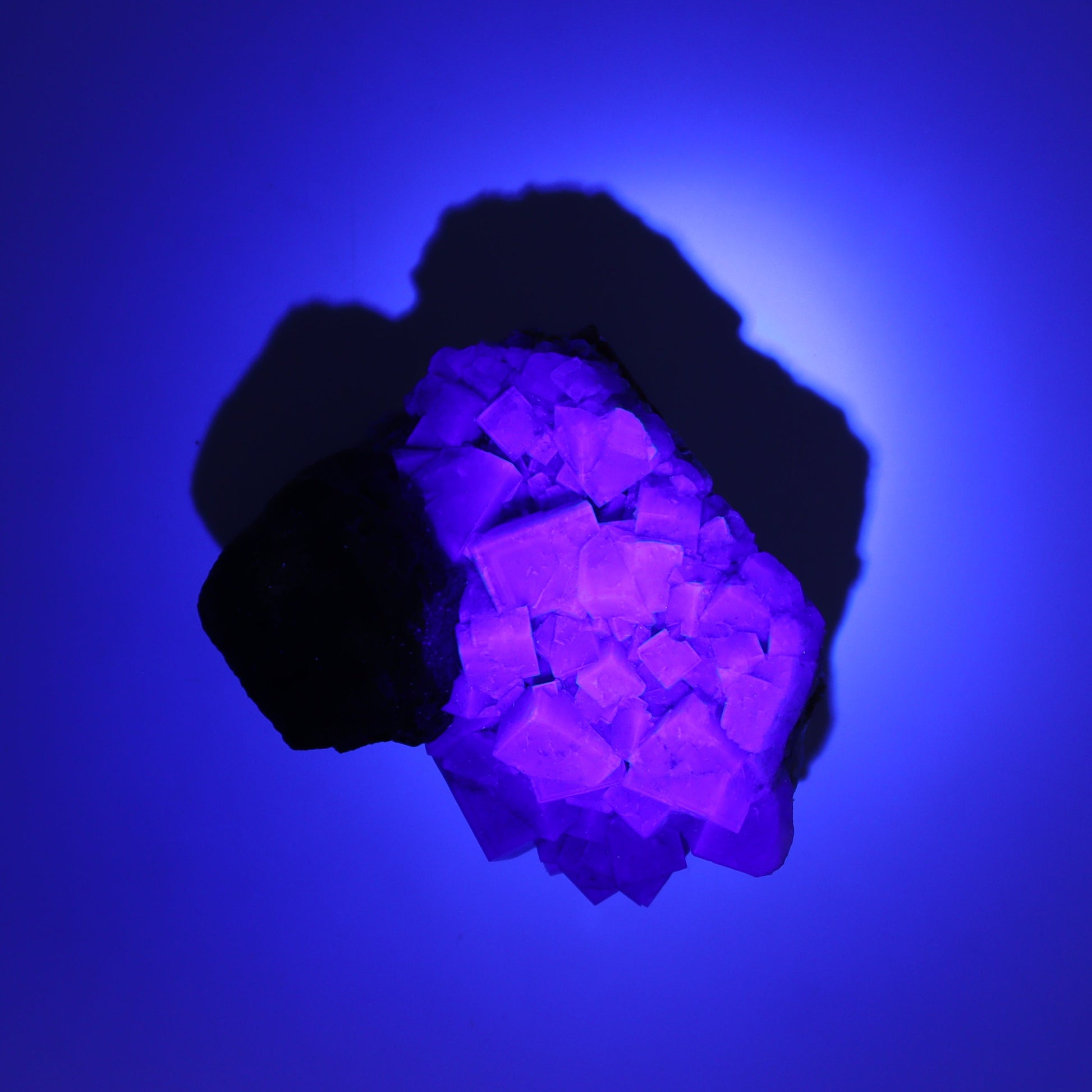 Fluorite Purple Rain Pocket Set of 8 - Expert Wholesale and Supplier of Wholesale Crystals & Bulk Gemstones, ["close_50","England","Fluorite","Purple Rain Pocket","Rough"]