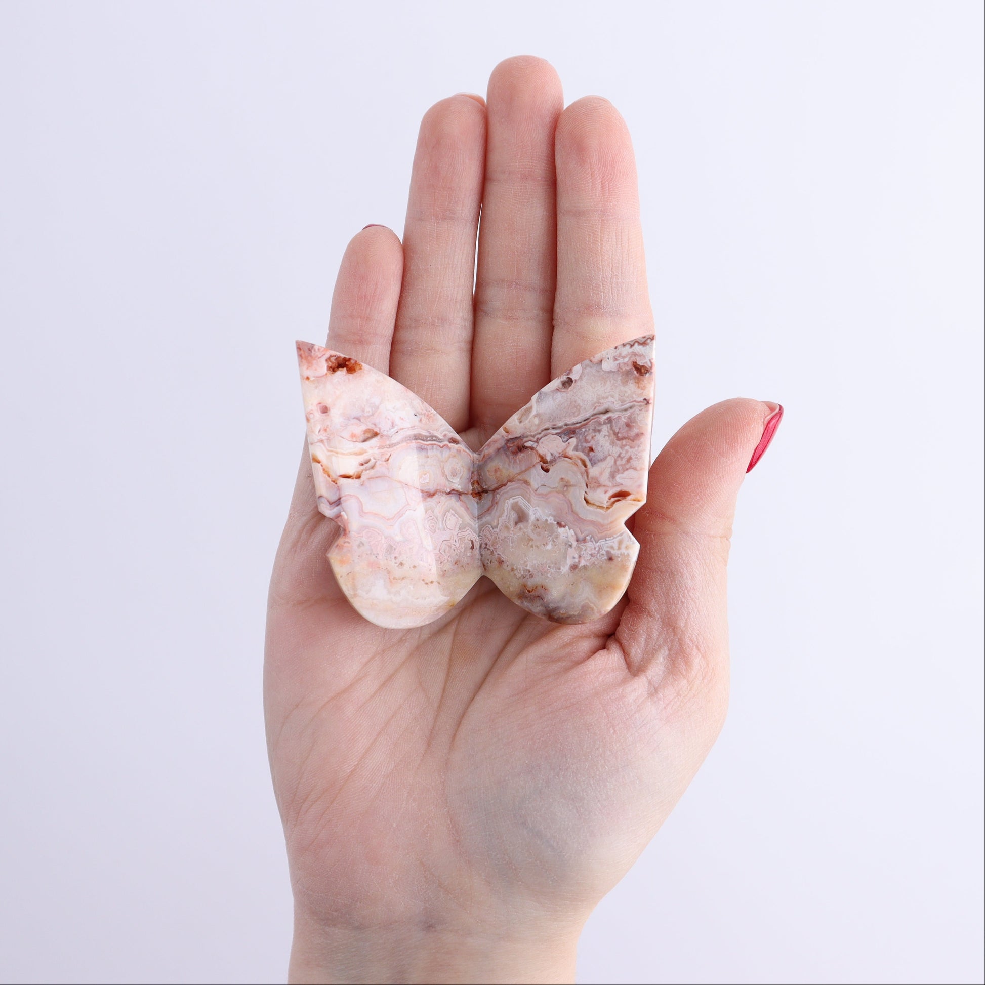 One Crazy Lace Agate Butterfly - Expert Wholesale and Supplier of Wholesale Crystals & Bulk Gemstones, ["Agate","Butterflies","Butterfly","Crazy Lace Agate"]