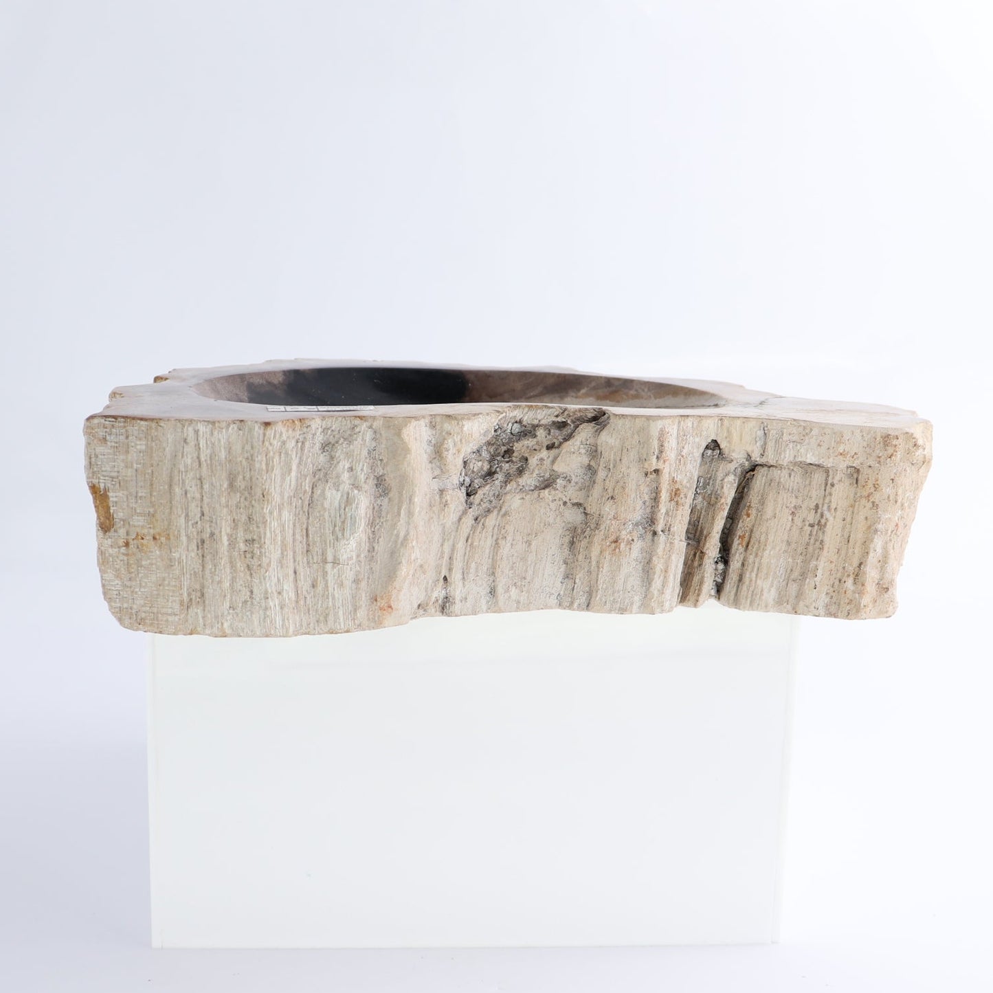 One Petrified Wood Brown & Black Rough Bowl