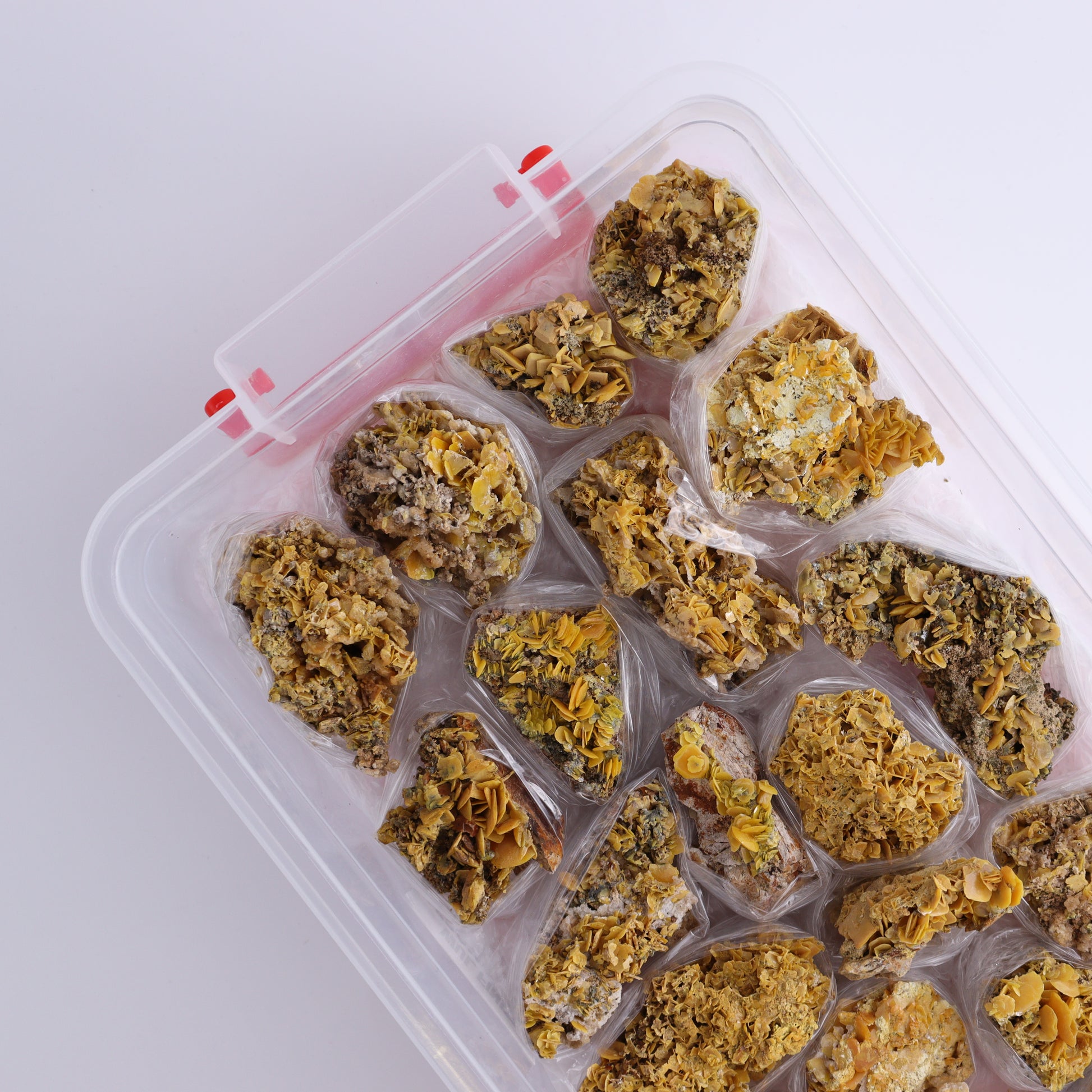 Wulfenite Flat from Morocco - Expert Wholesale and Supplier of Wholesale Crystals & Bulk Gemstones, ["Flats","Morocco","Wulfenite"]