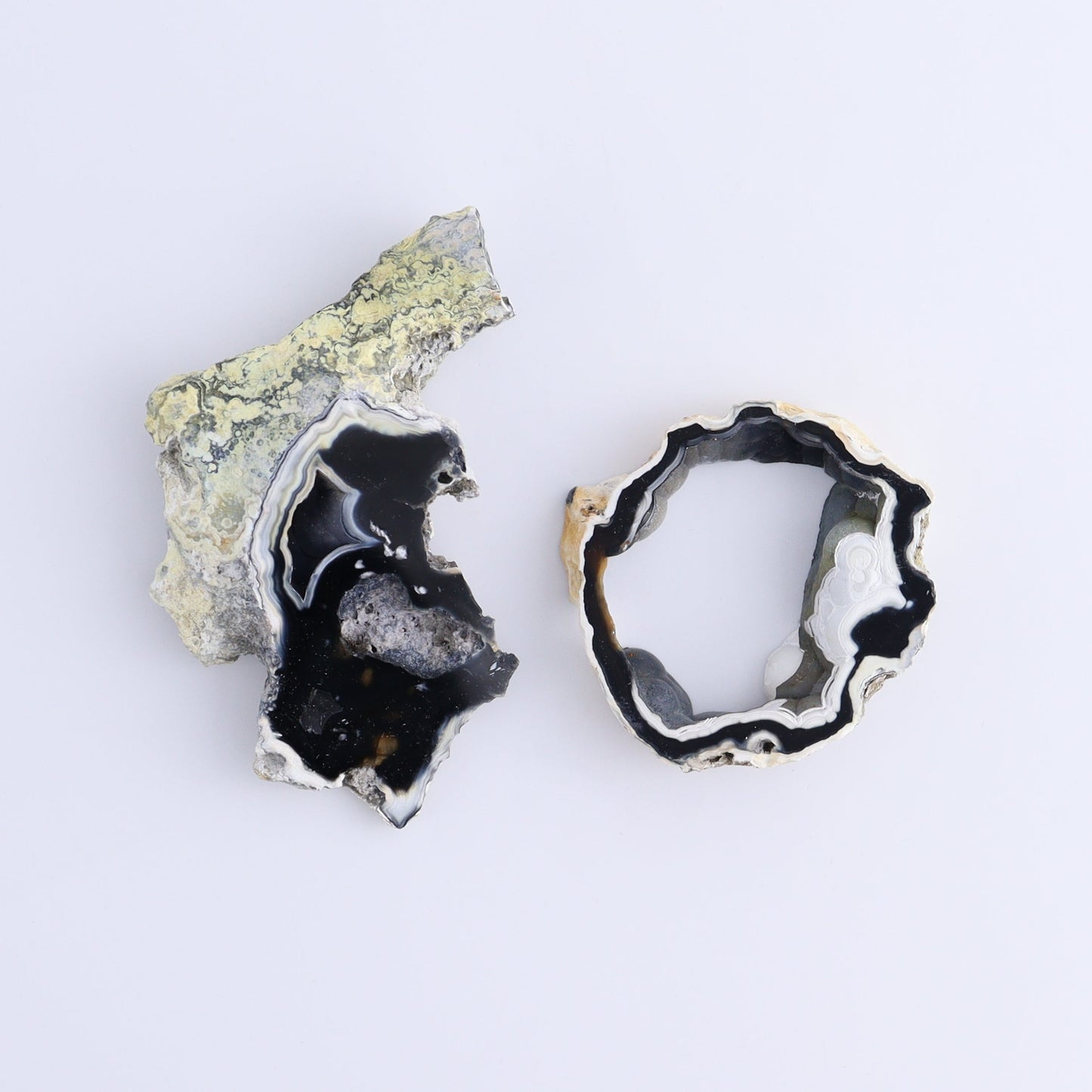 Agatized Coral Flat - Expert Wholesale and Supplier of Wholesale Crystals & Bulk Gemstones, ["Agate","Agatized Coral","Coral","United States"]