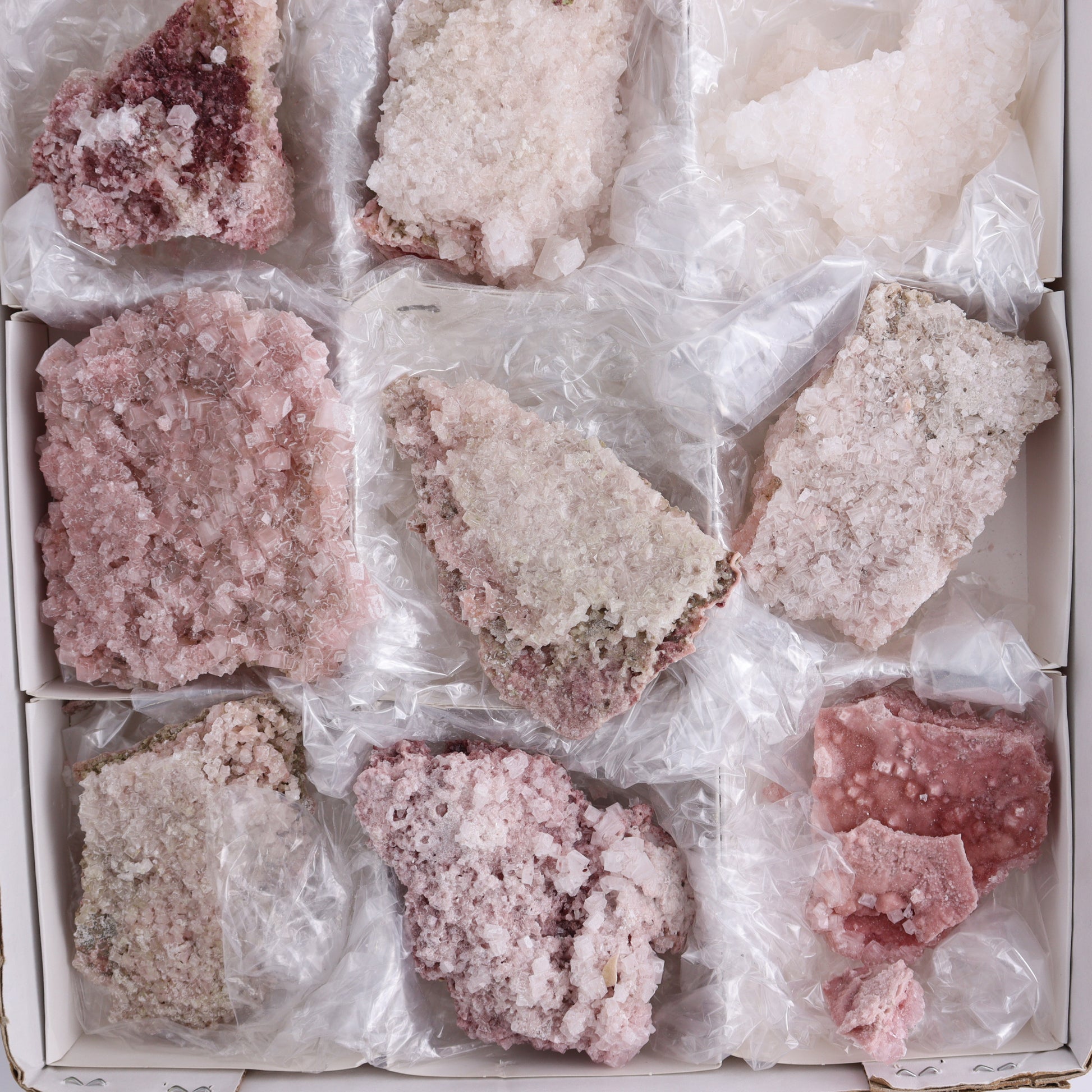 Pink Halite Set of 12 - Expert Wholesale and Supplier of Wholesale Crystals & Bulk Gemstones, ["close_50","Flats","Halite","Pink Halite","United States"]