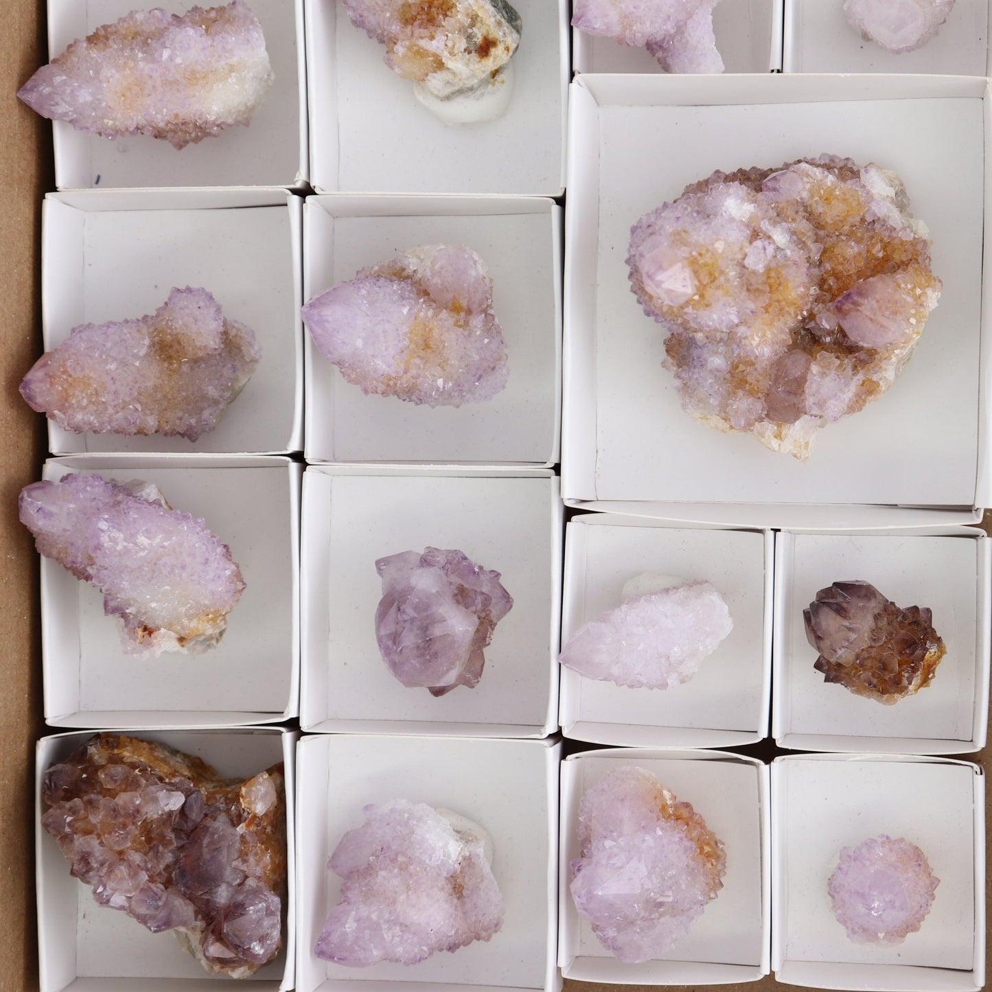Cactus Quartz Set of 19