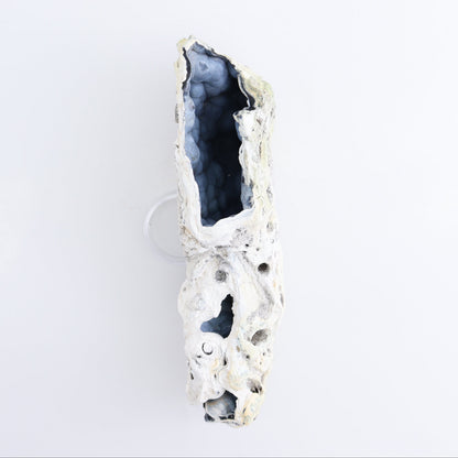 Agatized Coral Flat - Expert Wholesale and Supplier of Wholesale Crystals & Bulk Gemstones, ["Agate","Agatized Coral","Coral","United States"]
