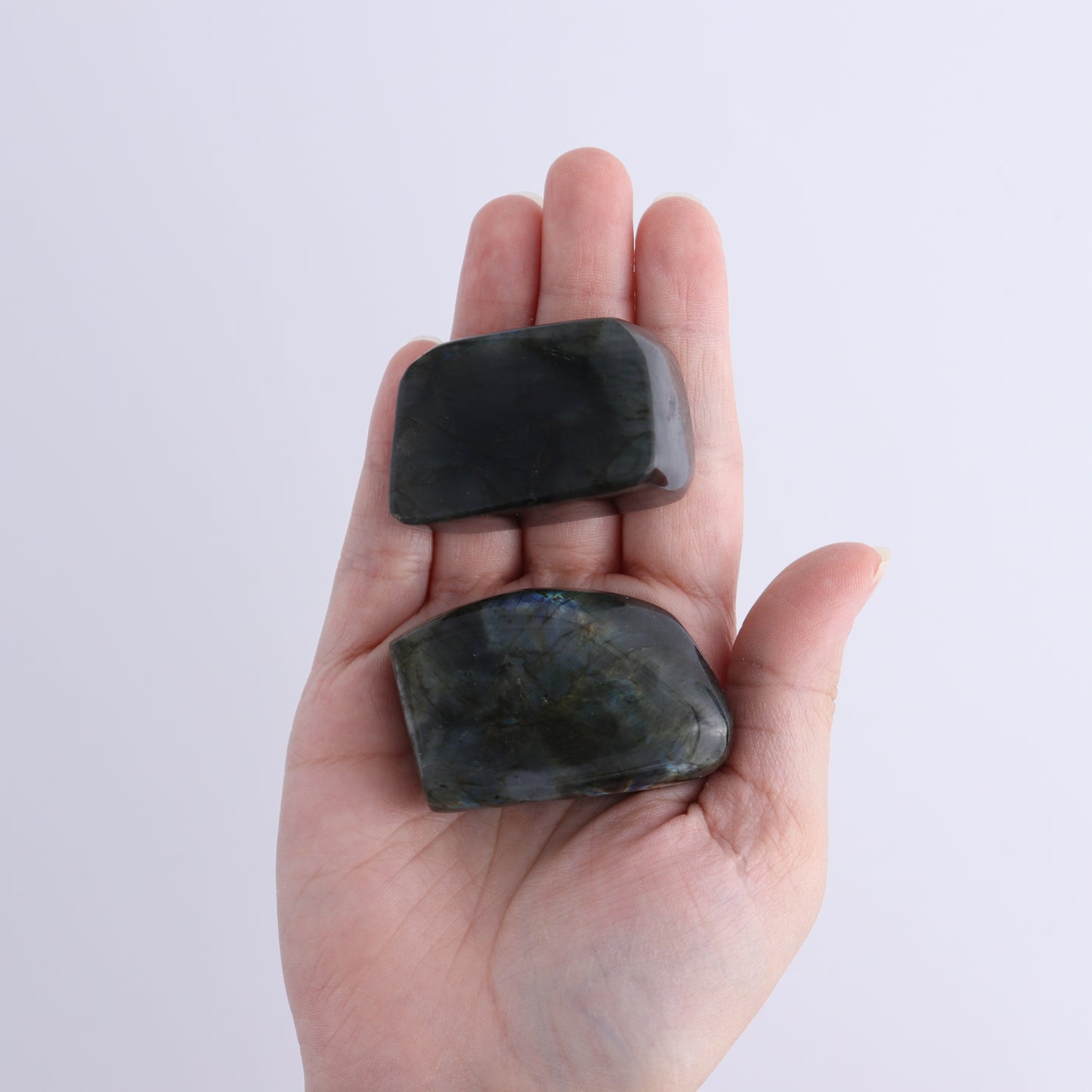 Labradorite Freeform Set of 10 - Expert Wholesale and Supplier of Wholesale Crystals & Bulk Gemstones, ["Freeforms","Labradorite","Madagascar"]