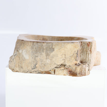 Petrified Wood Bowls Set of 2