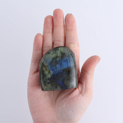 Labradorite Freeform Set of 7
