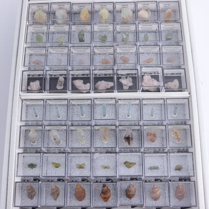 Mixed Mineral Thumbnails Flat