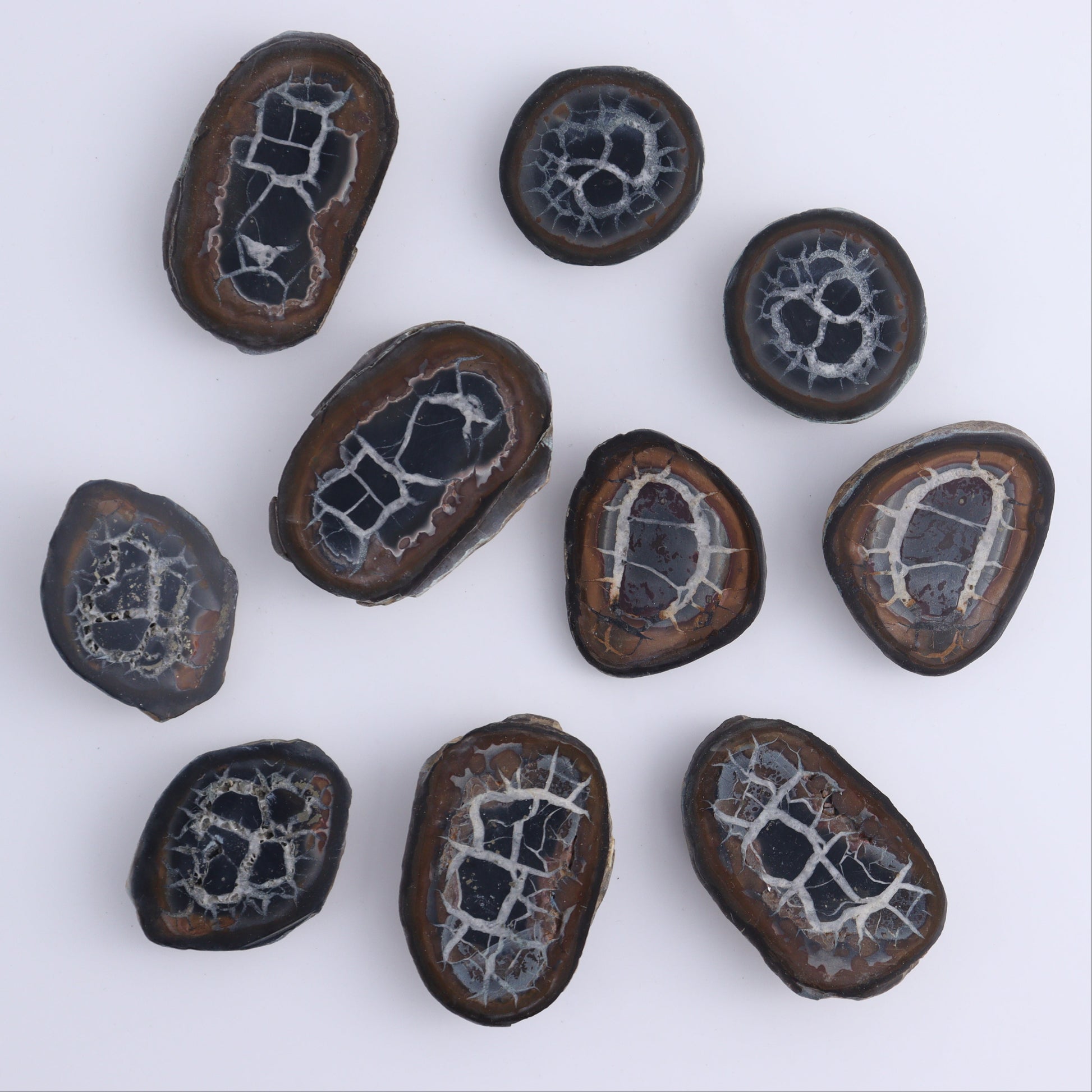 Septarian Geodes Flat - Expert Wholesale and Supplier of Wholesale Crystals & Bulk Gemstones, ["Geodes","Septarian"]