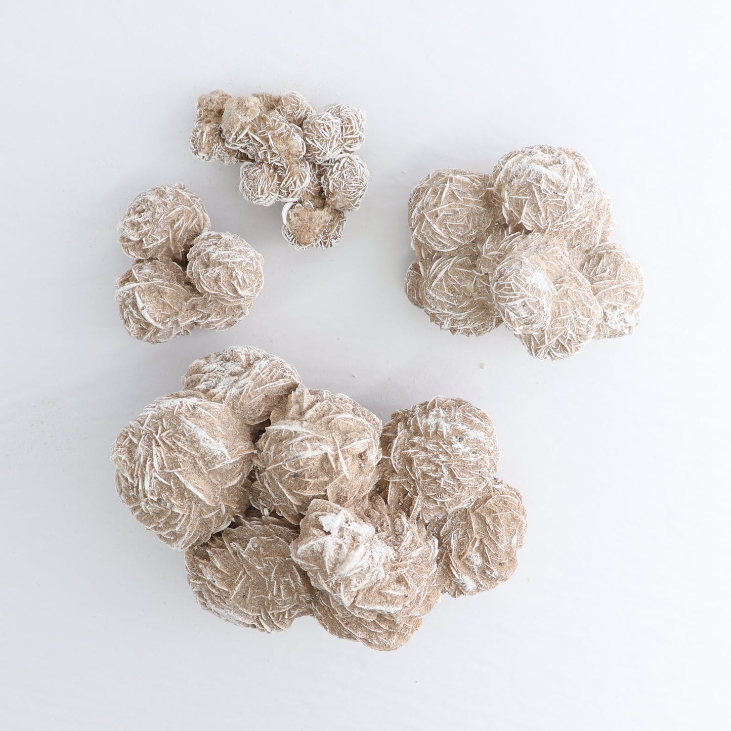 Desert Rose Set of 4