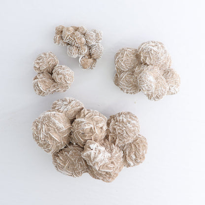 Desert Rose Set of 4