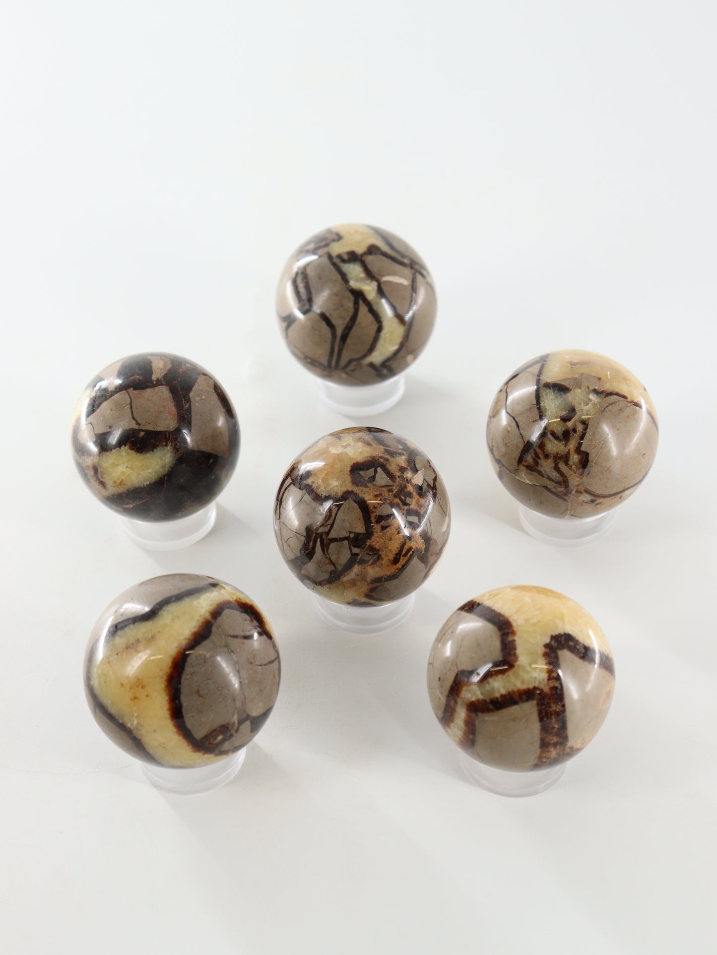 Septarian Spheres Set of 6 - Expert Supplier of Wholesale Crystals & Bulk Gemstones