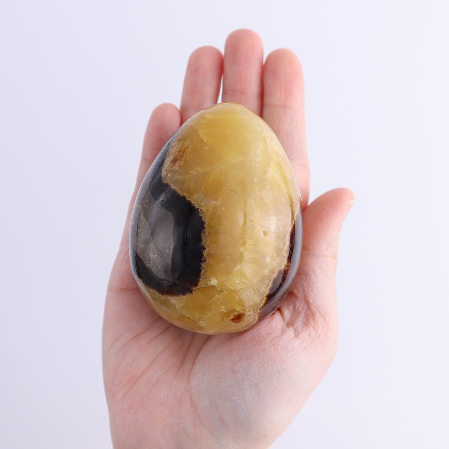 Septarian Eggs Set of 6 - Expert Wholesale and Supplier of Wholesale Crystals & Bulk Gemstones, ["Eggs","Madagascar","Septarian"]