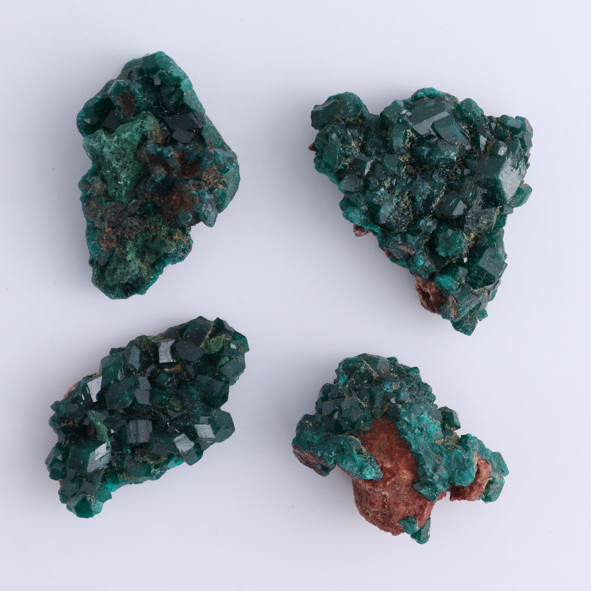 Dioptase Set of 12 - Expert Wholesale and Supplier of Wholesale Crystals & Bulk Gemstones, ["dioptase","Freeform","Freeforms"]