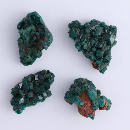 Dioptase Set of 12 - Expert Wholesale and Supplier of Wholesale Crystals & Bulk Gemstones, ["dioptase","Freeform","Freeforms"]