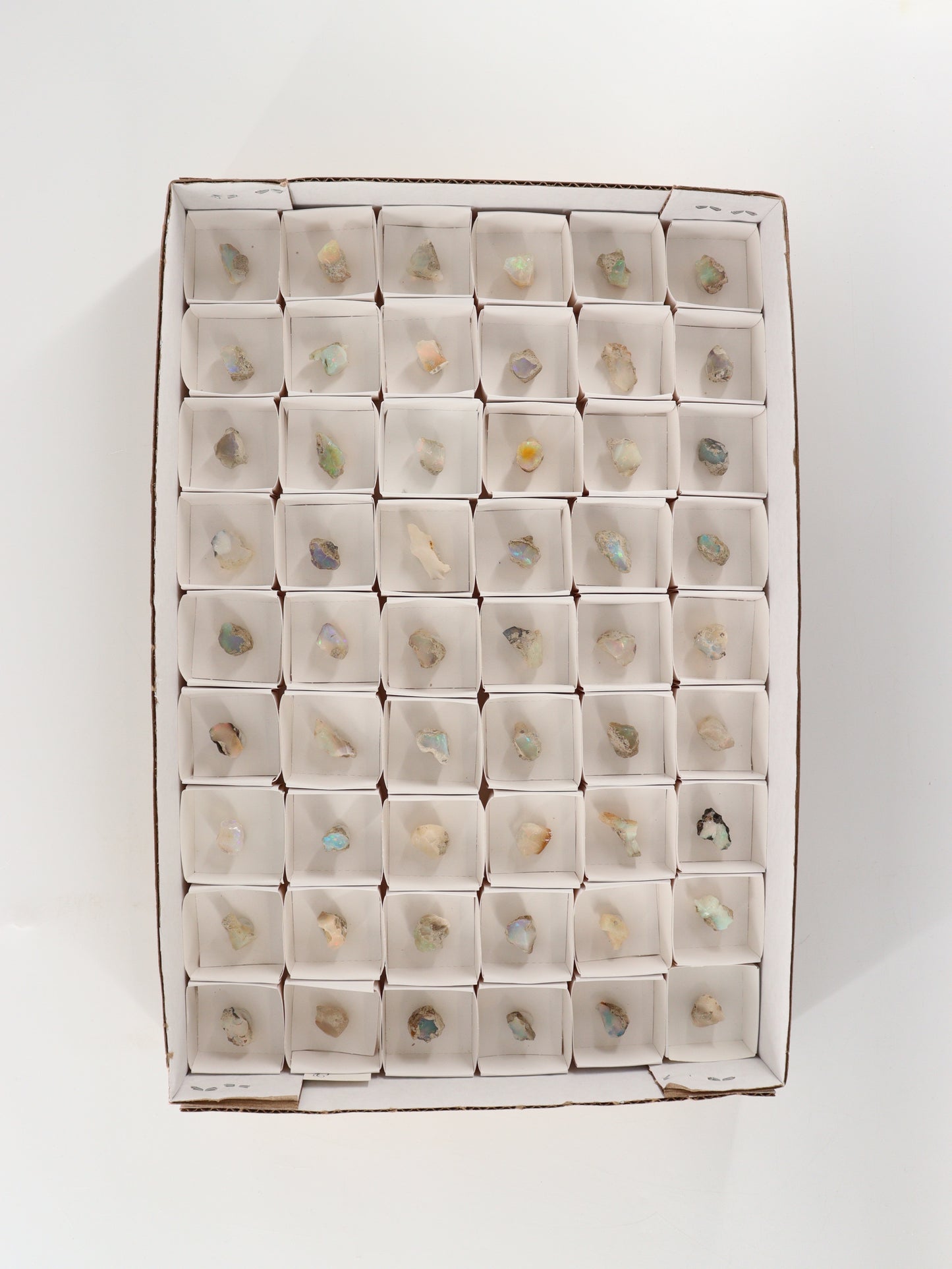 Ethiopian Opal Flat Set of 54 - Expert Wholesale and Supplier of Wholesale Crystals & Bulk Gemstones, []