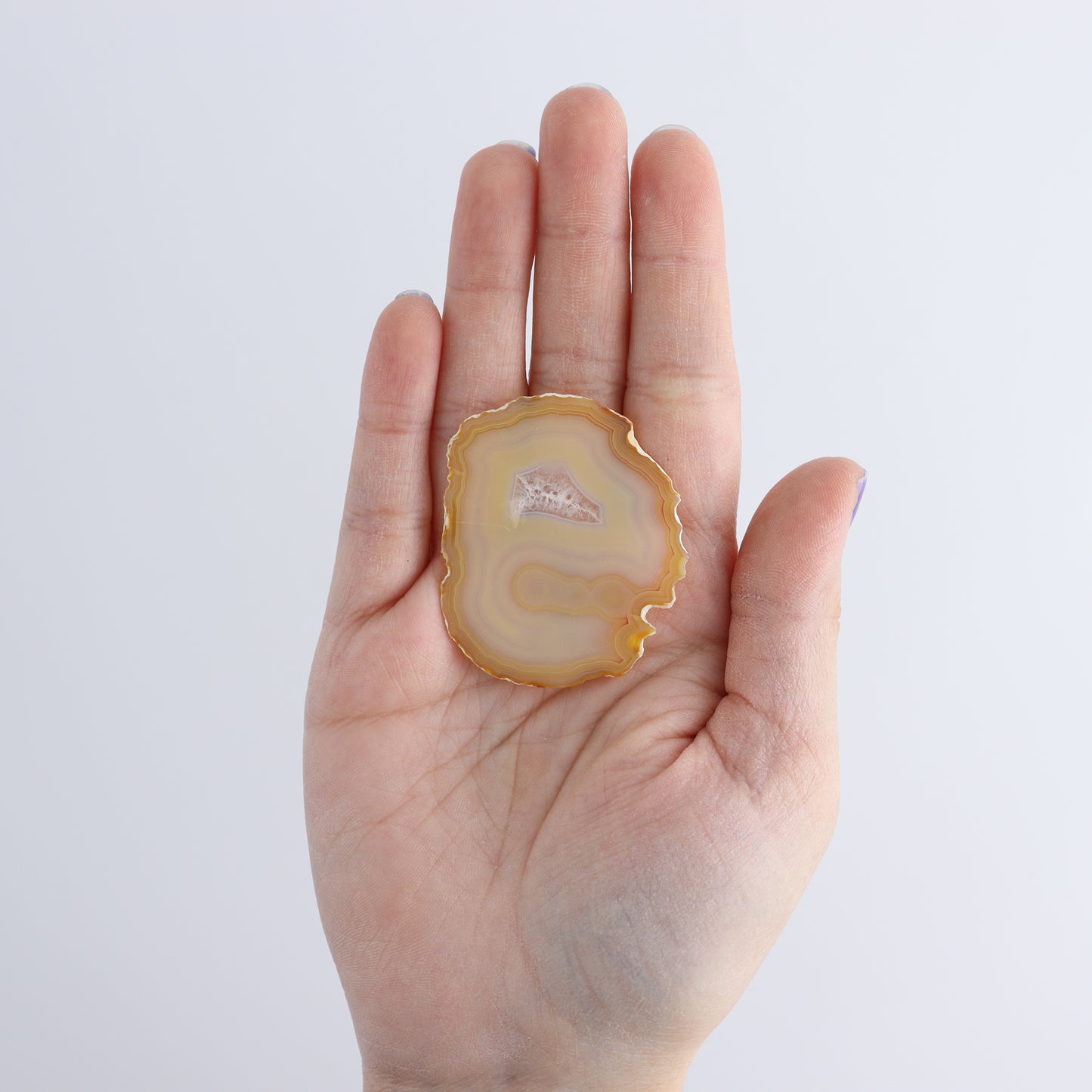 Iris Agate Slices Set of 7 - Expert Wholesale and Supplier of Wholesale Crystals & Bulk Gemstones, ["Agate","Iris Agate","Slices and Slabs"]