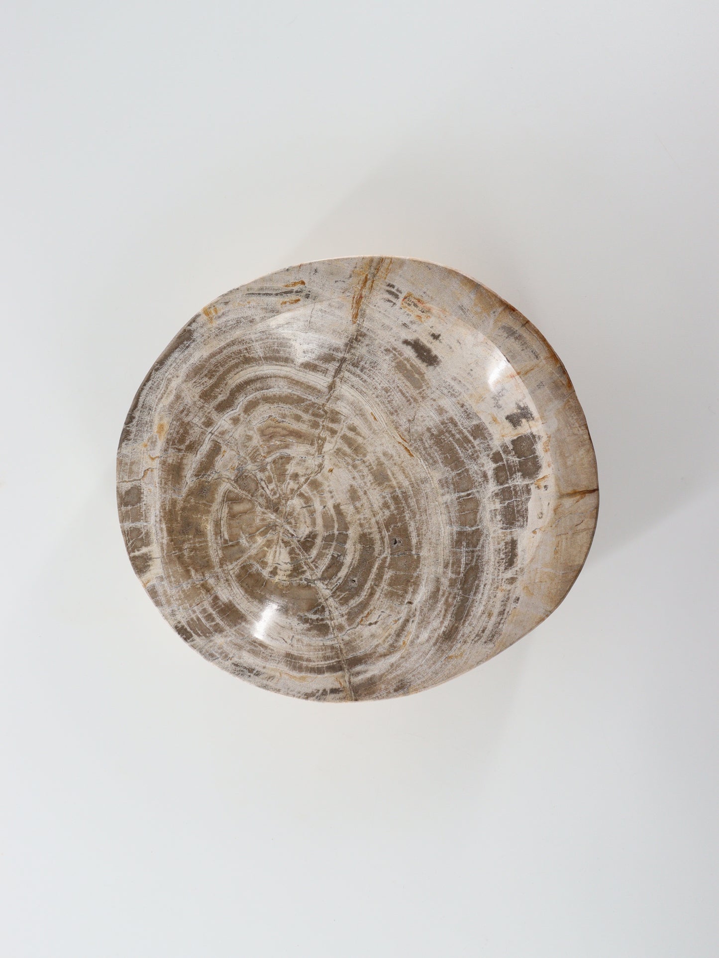 Petrified Wood Bowl - Expert Wholesale and Supplier of Wholesale Crystals & Bulk Gemstones, []