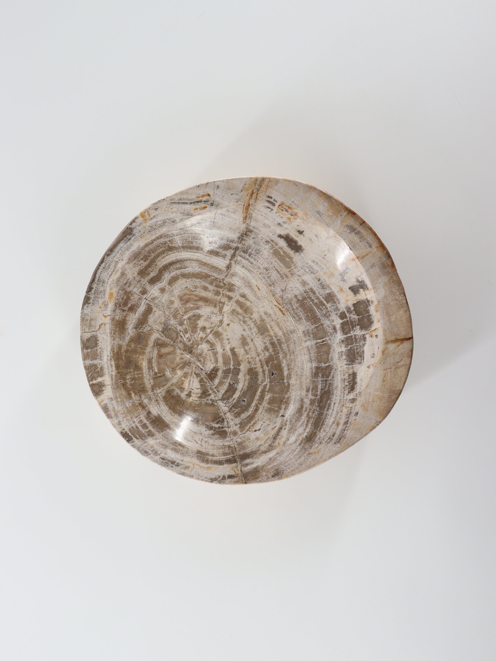 Petrified Wood Bowl - Expert Wholesale and Supplier of Wholesale Crystals & Bulk Gemstones, []