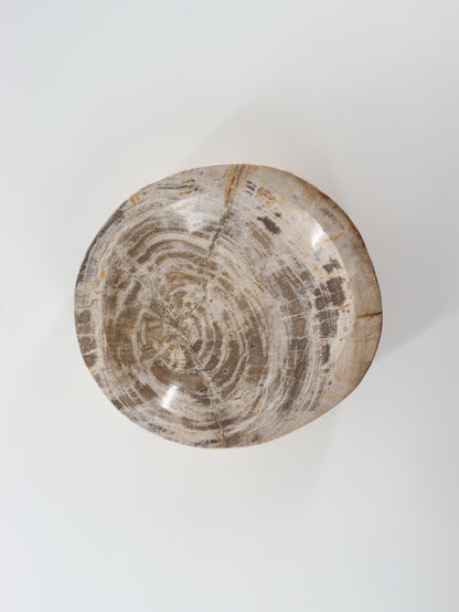 Petrified Wood Bowl - Expert Wholesale and Supplier of Wholesale Crystals & Bulk Gemstones, []