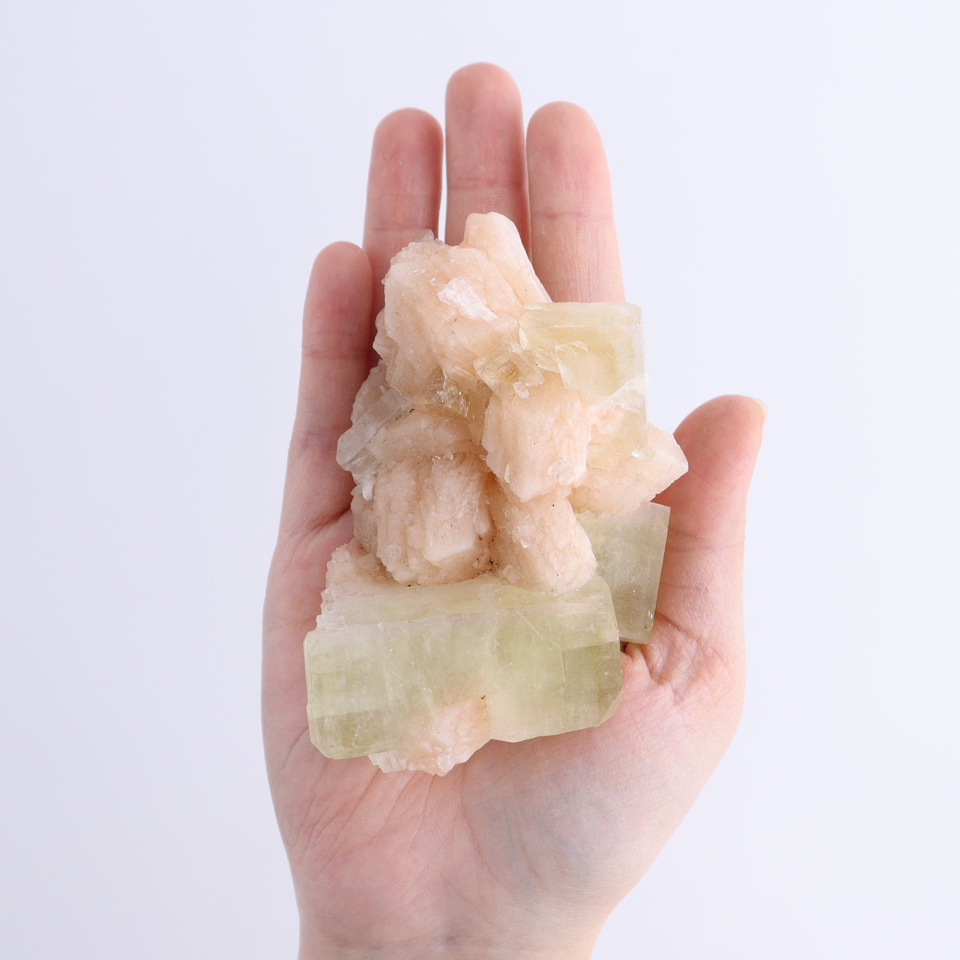 Apophyllite Clusters Flat of 6 - Expert Wholesale and Supplier of Wholesale Crystals & Bulk Gemstones, ["Apophyllite","Clusters","Flats"]