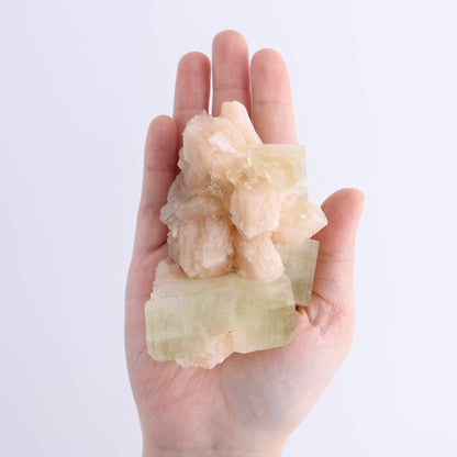 Apophyllite Clusters Flat of 6 - Expert Wholesale and Supplier of Wholesale Crystals & Bulk Gemstones, ["Apophyllite","Clusters","Flats"]