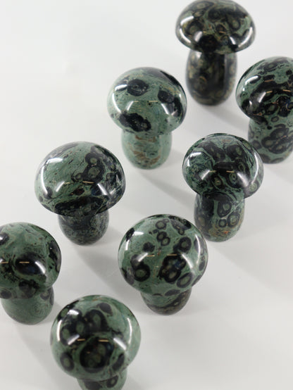 Kambaba Jasper Set of 8 - Expert Wholesale and Supplier of Wholesale Crystals & Bulk Gemstones, []