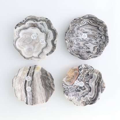 One Mexican Onyx/Calcite Black & White Zebra Scalloped Dish 10 cm