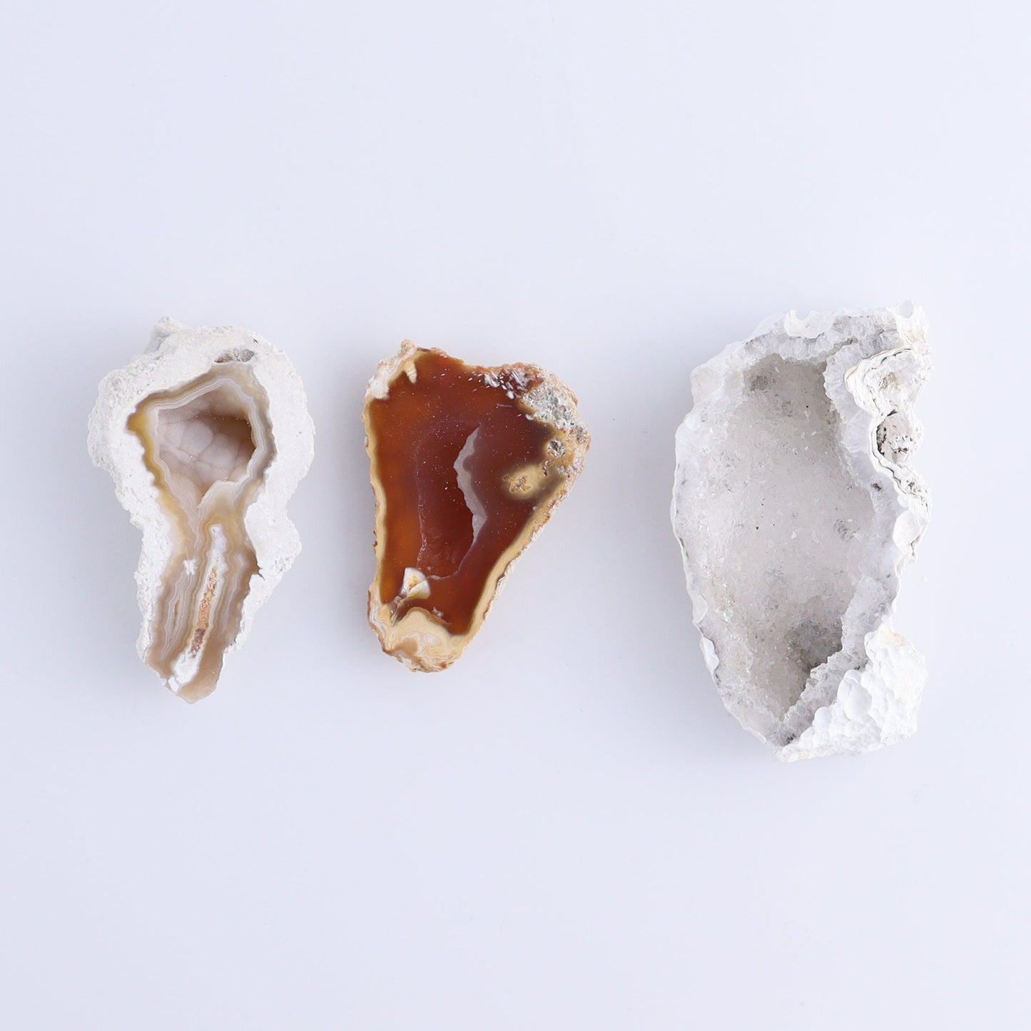 Agatized Coral Flat - Expert Wholesale and Supplier of Wholesale Crystals & Bulk Gemstones, ["Agate","Agatized Coral","Coral","United States"]