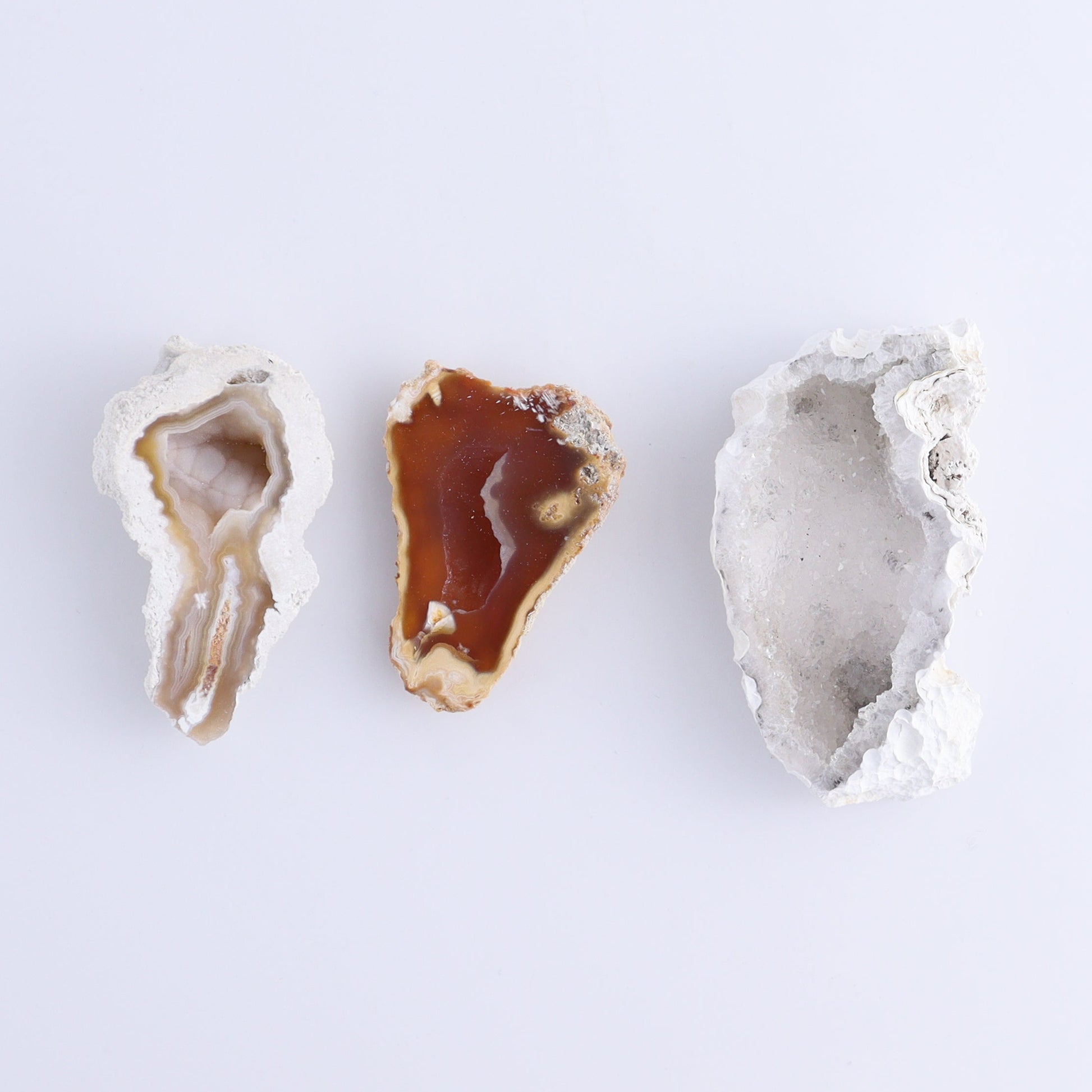 Agatized Coral Flat - Expert Wholesale and Supplier of Wholesale Crystals & Bulk Gemstones, ["Agate","Agatized Coral","Coral","United States"]