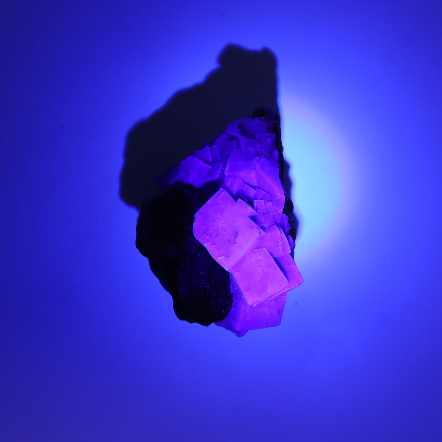 Fluorite Purple Rain Pocket Set of 8 - Expert Wholesale and Supplier of Wholesale Crystals & Bulk Gemstones, ["close_50","England","Fluorite","Purple Rain Pocket","Rough"]