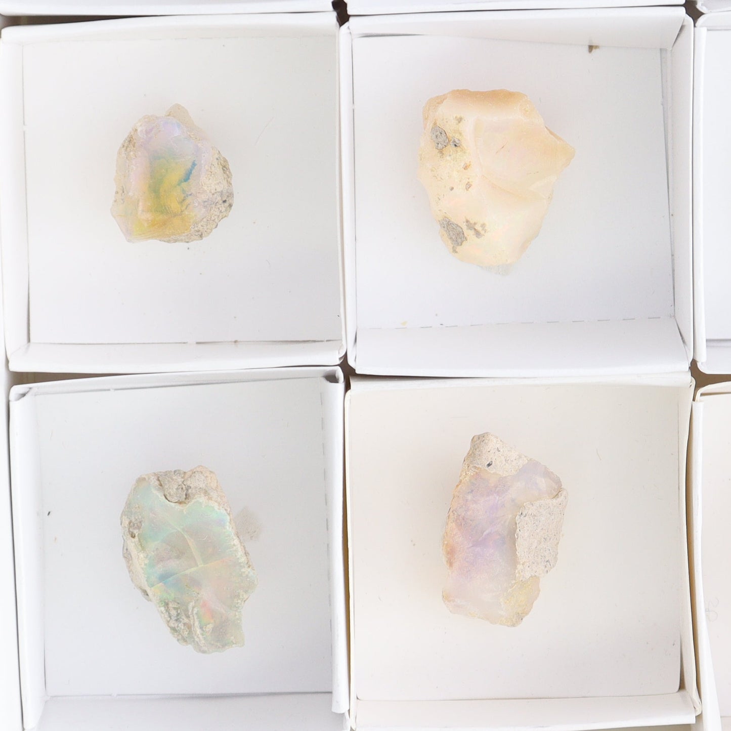 Ethiopian Opal Set of 10 - Expert Wholesale and Supplier of Wholesale Crystals & Bulk Gemstones, ["Ethiopia","ethiopian opal","Opal"]