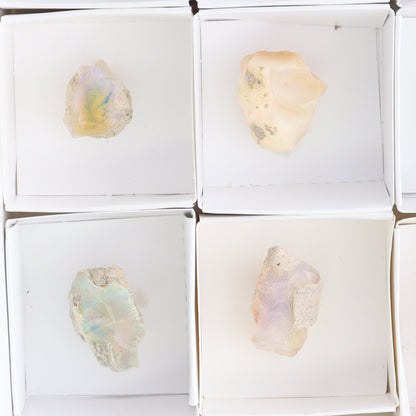 Ethiopian Opal Set of 10 - Expert Wholesale and Supplier of Wholesale Crystals & Bulk Gemstones, ["Ethiopia","ethiopian opal","Opal"]