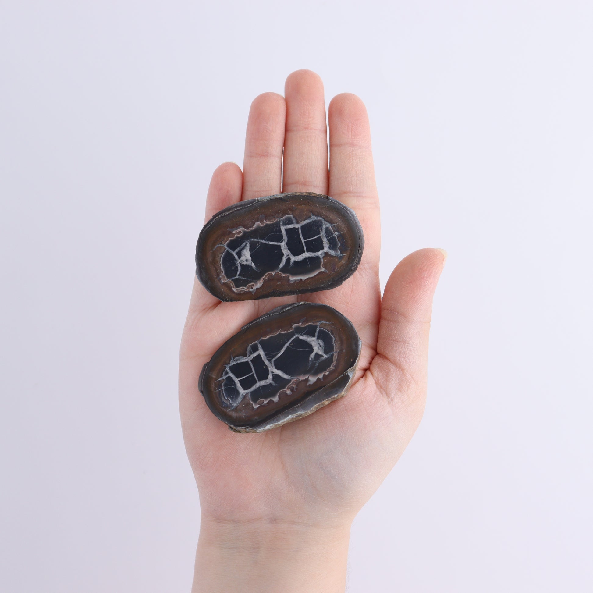 Septarian Geodes Flat - Expert Wholesale and Supplier of Wholesale Crystals & Bulk Gemstones, ["Geodes","Septarian"]