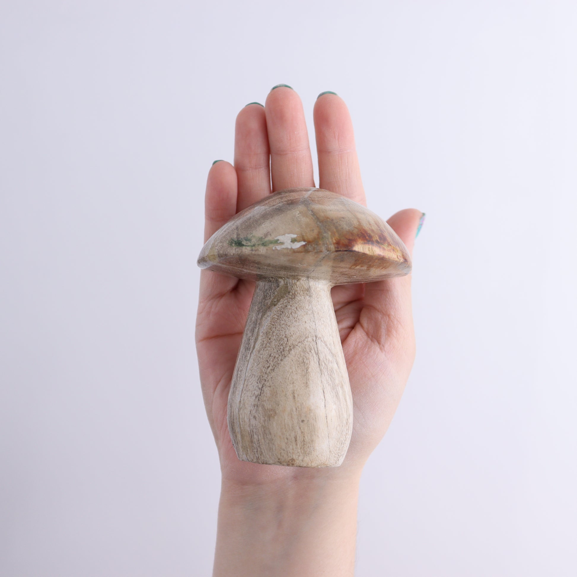 Petrified Wood Mushrooms Set of 4 - Expert Wholesale and Supplier of Wholesale Crystals & Bulk Gemstones, ["Indonesia","Mushrooms","Petrified Wood"]