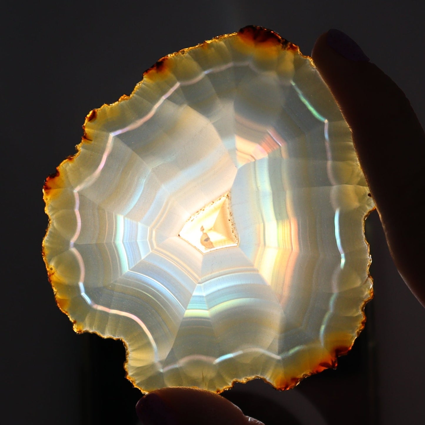 Iris Agate Slices Set of 6 - Expert Wholesale and Supplier of Wholesale Crystals & Bulk Gemstones, ["Agate","Iris Agate","Slices and Slabs"]