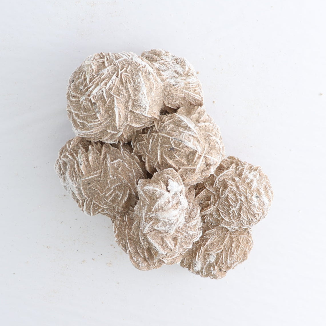 Desert Rose Set of 4