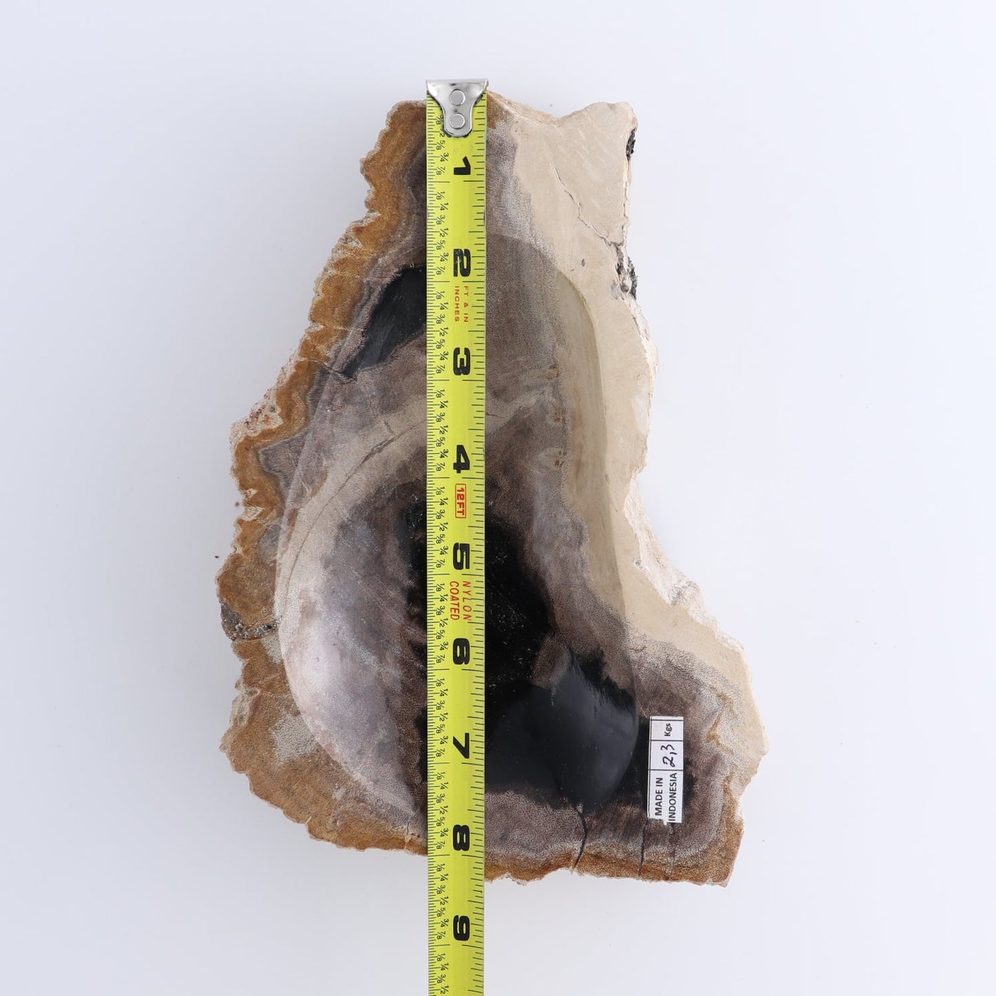 One Petrified Wood Brown & Black Rough Bowl