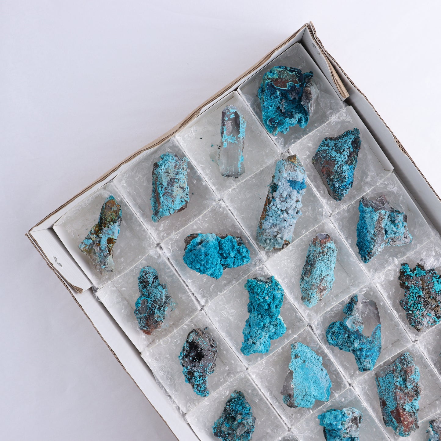 Chrysocolla on Quartz Roughs Set of 24 - Expert Wholesale and Supplier of Wholesale Crystals & Bulk Gemstones, ["Chrysocolla","Flats","Freeforms","Peru","Quartz","Rough"]