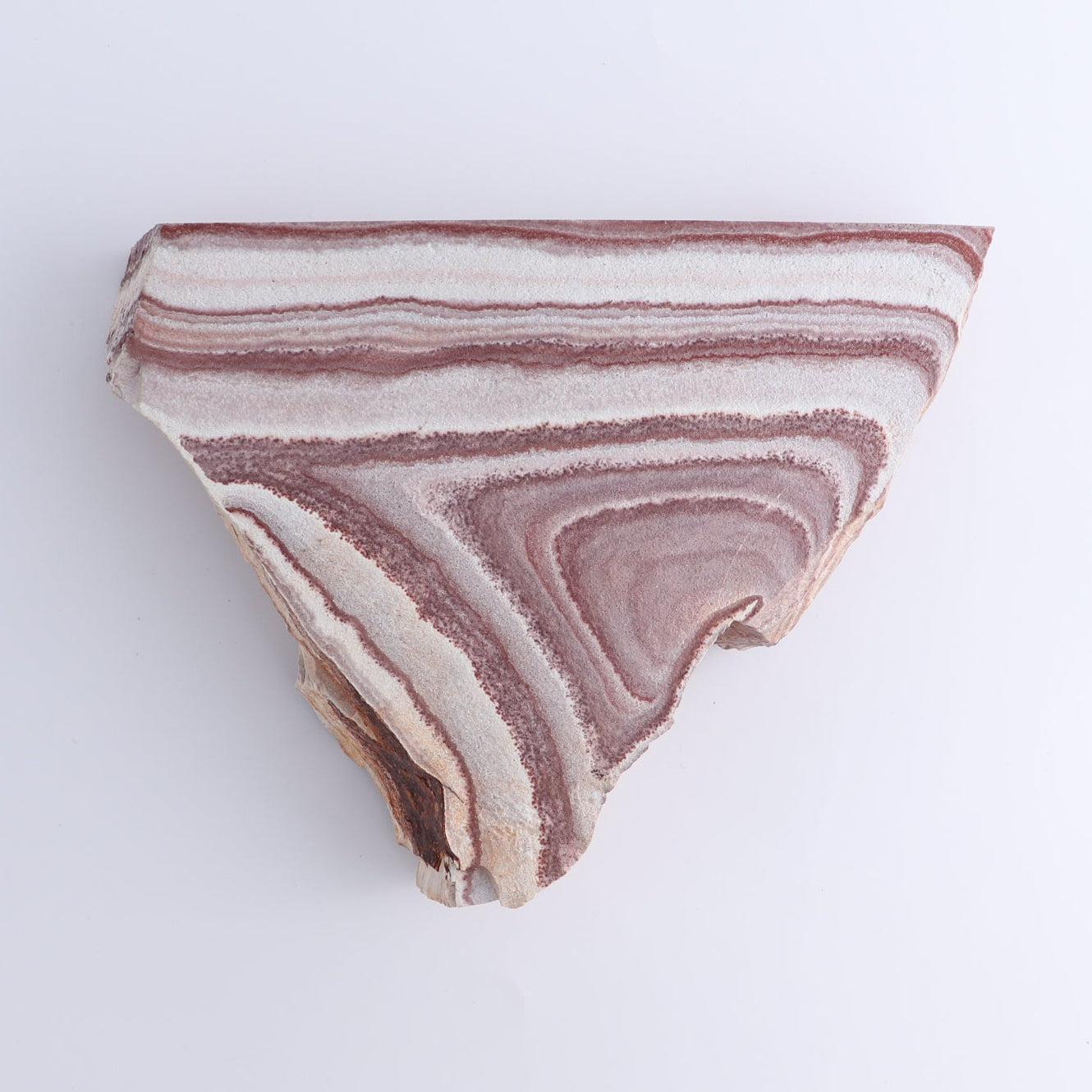 Rhyolite Slabs Set of 3