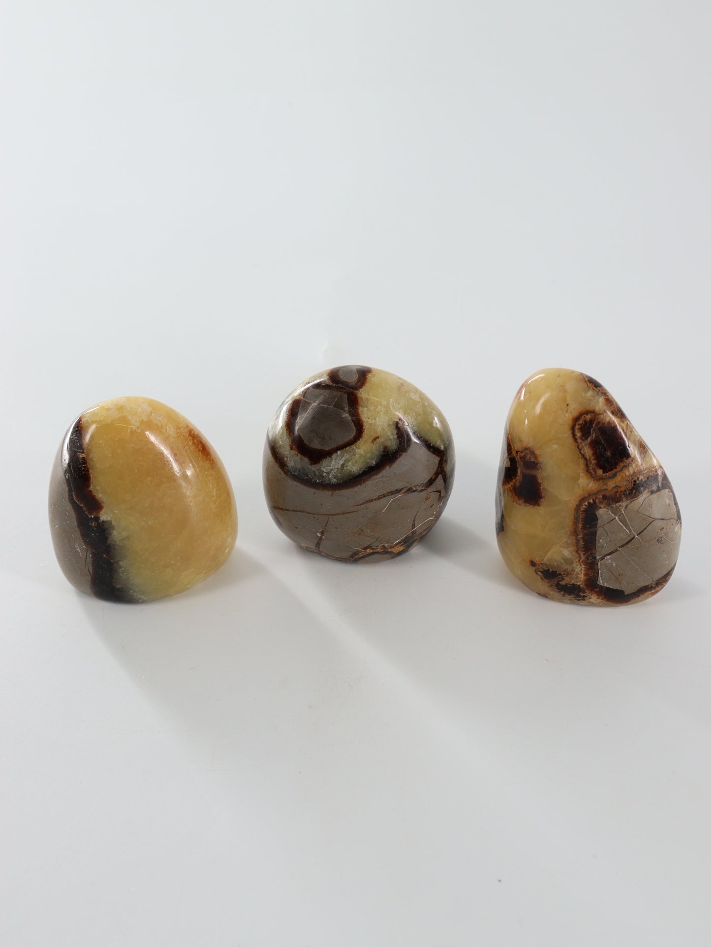 Septarian Freeforms Set of 12 - Expert Wholesale and Supplier of Wholesale Crystals & Bulk Gemstones, []