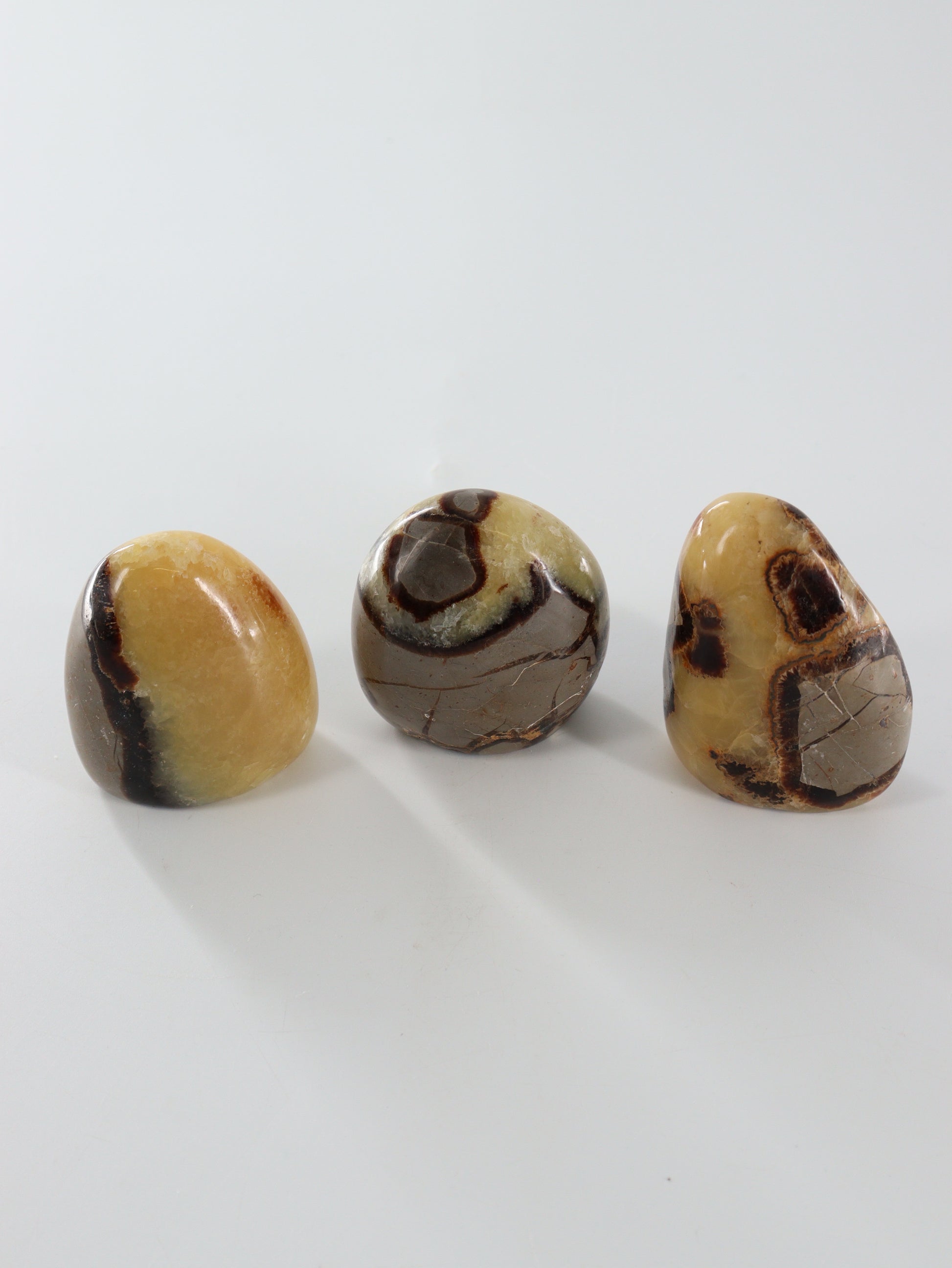 Septarian Freeforms Set of 12 - Expert Wholesale and Supplier of Wholesale Crystals & Bulk Gemstones, []