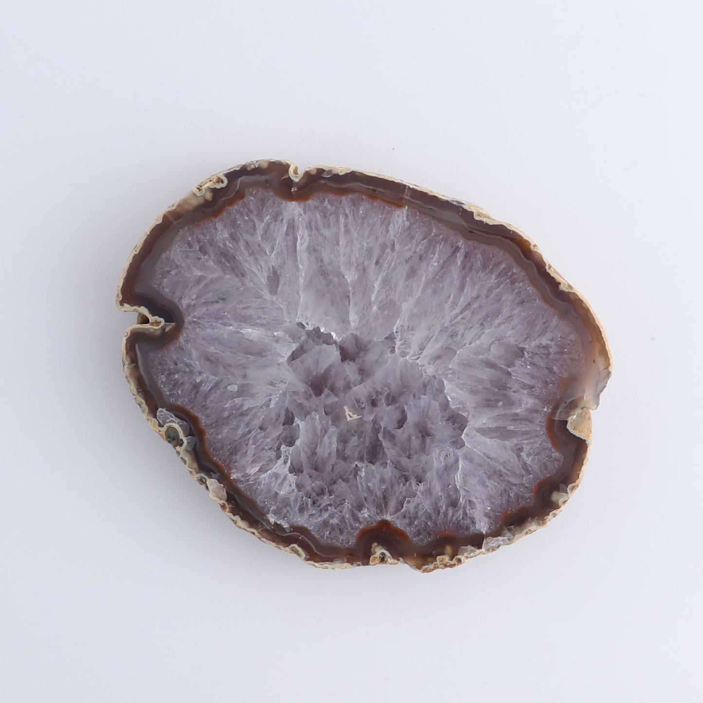 Agate Slices Set of 5 - Expert Wholesale and Supplier of Wholesale Crystals & Bulk Gemstones, ["Agate","Brazil","Slices and Slabs"]